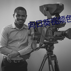 向日(日)葵视频色板