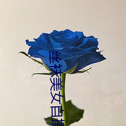 丝袜美女自摸