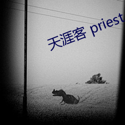 天涯客 priest