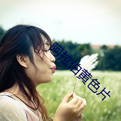 阿拉伯黄色片