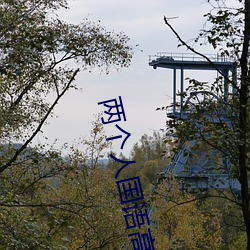 918博天堂·(中国)手机版客户端