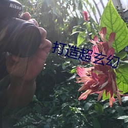 ca88手机客户端(安卓/苹果)CA88会员登录入口