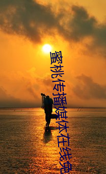 蜜(mì)桃撒播媒(méi)体在(zài)线免费寓目大巴