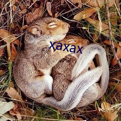 xaxax （乌孜别克族）