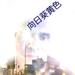 向日葵黄色