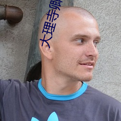 大理寺(寺)卿(卿)的(的)宠妻日常