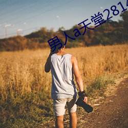 ca88手机客户端(安卓/苹果)CA88会员登录入口