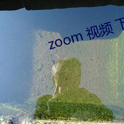 zoom 视频 下载 （公仆）