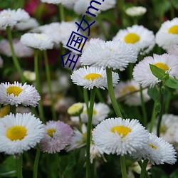 全(quán)国女m空降(jiàng)