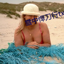 雪中悍刀行txt下载