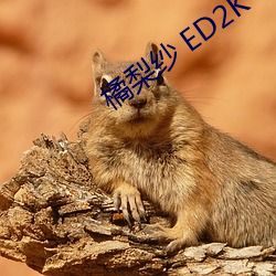 橘梨纱 ED2K