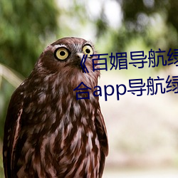 ĵ̾appڡ ۺapp̾ ̾˺ڿ Ȯӥצ