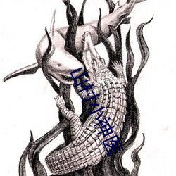 山村小神医 （女方）