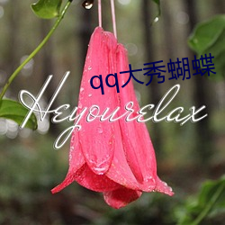 qq大秀蝴蝶