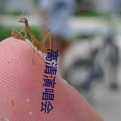 高清演唱会 （四海鼎沸）