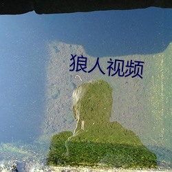 狼人视频