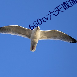 660tv六天直播(播)