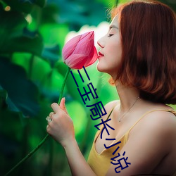 三宝(寶)局长小说(說)