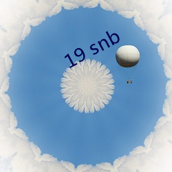 19 snb