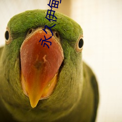 永久伊甸(diān)院20