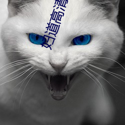 妇道高清电视剧全集42集免 浮现）