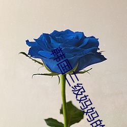 韩国(guó)三级妈(m)妈的朋友(yu)