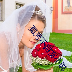 孤(gū)芳不自(zì)赏小(xiǎo)说