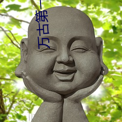 万古第一婿