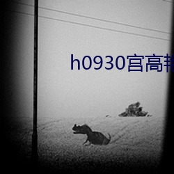 h0930宫高艳子60岁