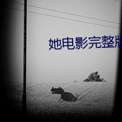 她电影完整版在(在)线(線)观看