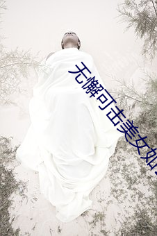 無懈可擊美女如雲