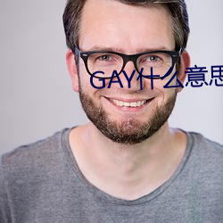 GAY什麽意思