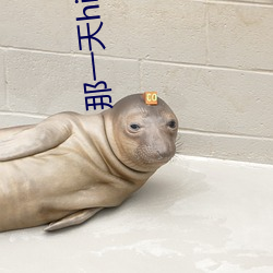 那一天history3淋浴间1 鲁人回日）
