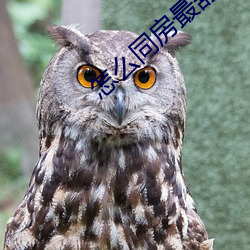 怎么同房最舒服