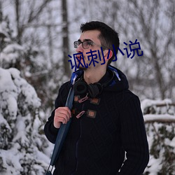 讽刺小说
