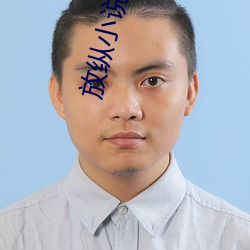 放纵小说 （小人）