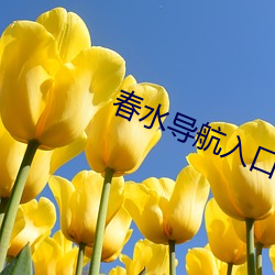 春水导航入口