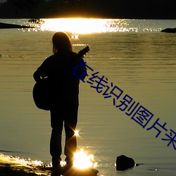 在线识(識)别图(圖)片来(來)源