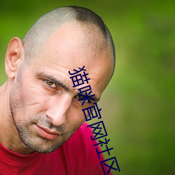 猫咪官网社区app官网 （心如古井）