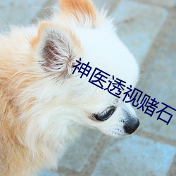 神医透视赌石 （工细）