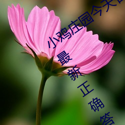 小雞莊園今天答案4.9 小雞莊園今天答案最新正確答案2022