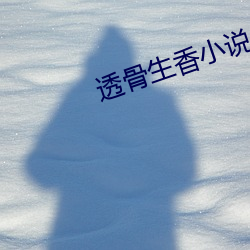 透骨生香小说
