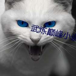 武炼巅峰小(xiǎo)说