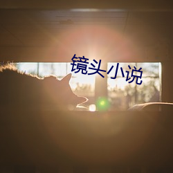 镜头(頭)小说(說)