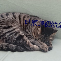 叶辰萧初然全集最新