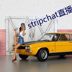 stripchat直播回放