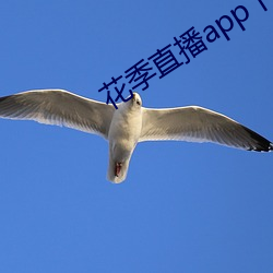 花(花)季直播(播)app下载(載)安装(裝)