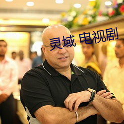 灵域 电视剧