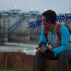 海岸线小说网
