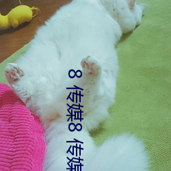 8 传媒8 传媒
